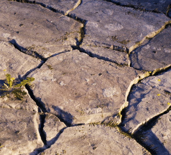 3D Material artist Lamberto Gioia Shortcut