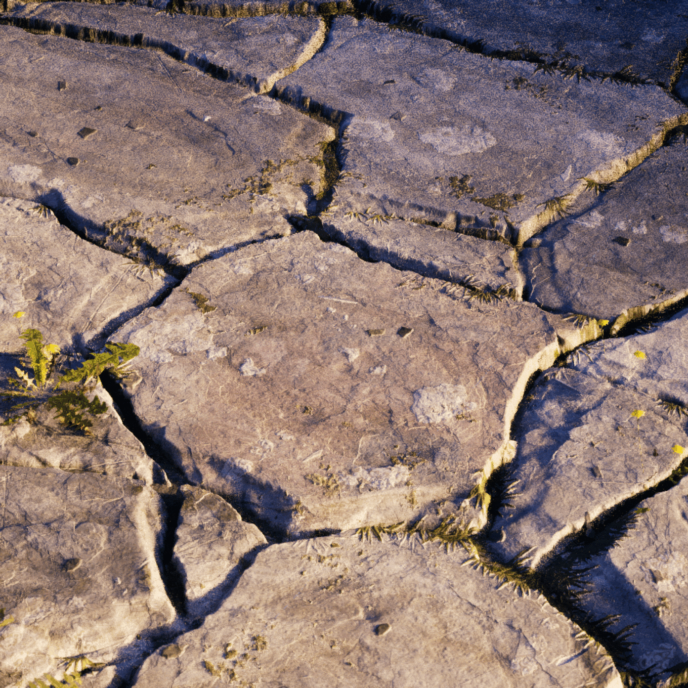 3D Material artist Lamberto Gioia Shortcut